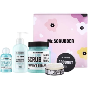 Изображение товара -  Подарочный набор Mr. Scrubber Tiffany’s Care, 4 шт (4820200376011)