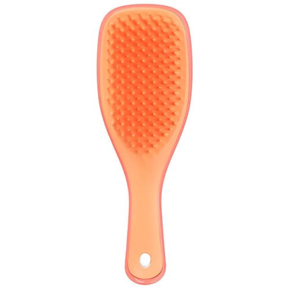 Щетка для волос Tangle Teezer The Ultimate Detangler Mini Salmon Pink & Apricot , 1 шт (5060926684536)