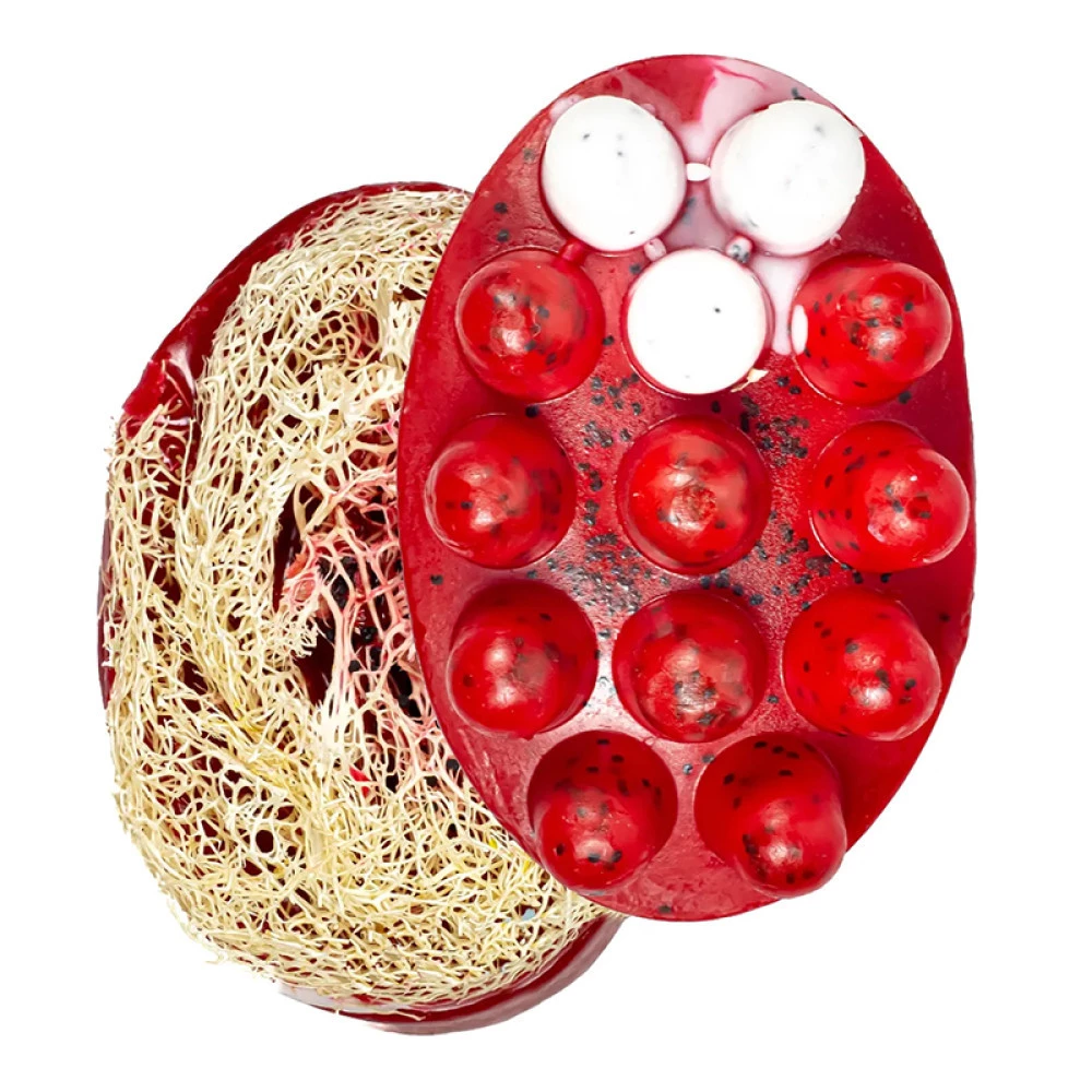 Мыло-скраб с люфой Вишня Top Beauty, 120 г (2000002100065)