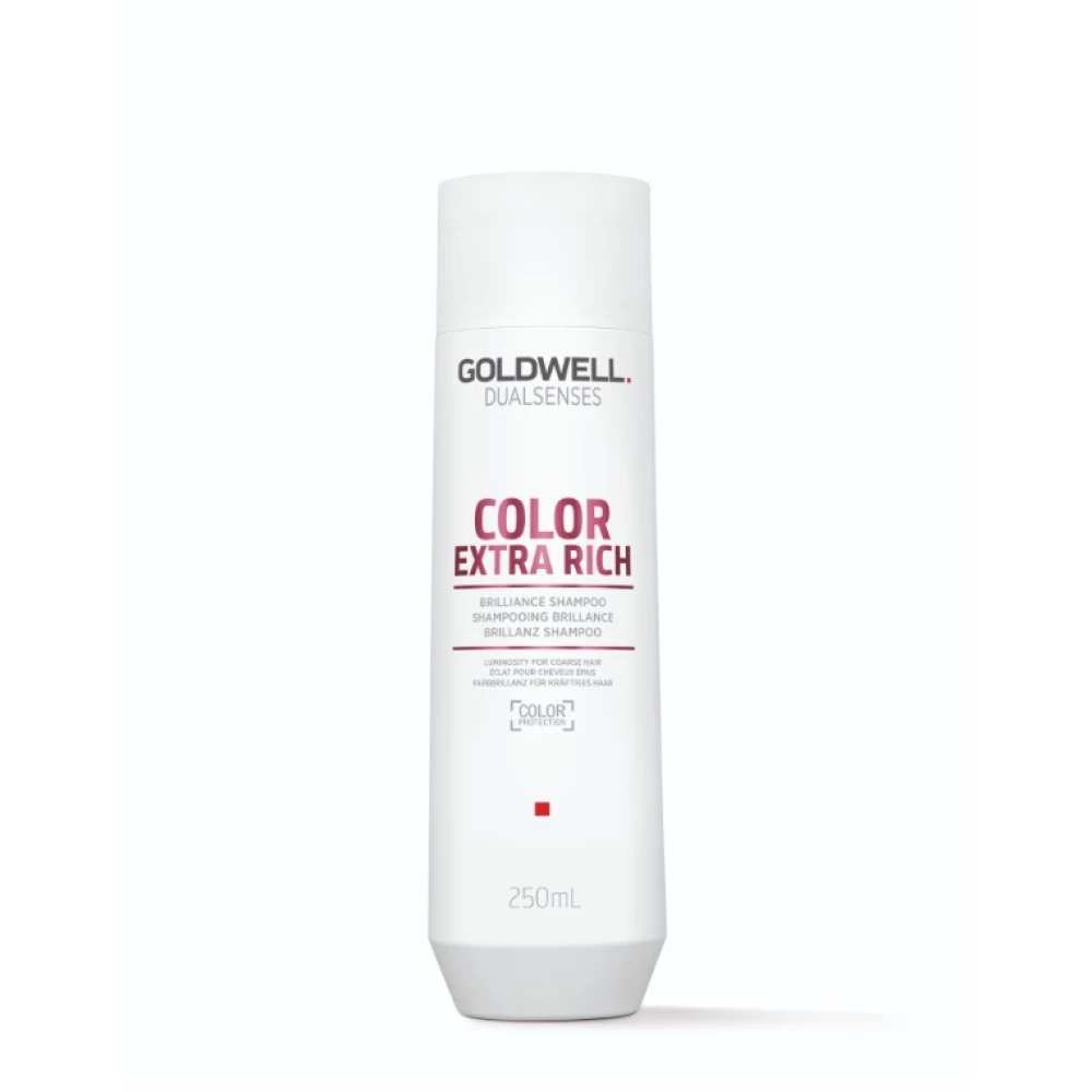 Шампунь для сохранения цвета толстых и пористых волос Goldwell DSN Color Extra Rich, 250 мл (4044897029887)