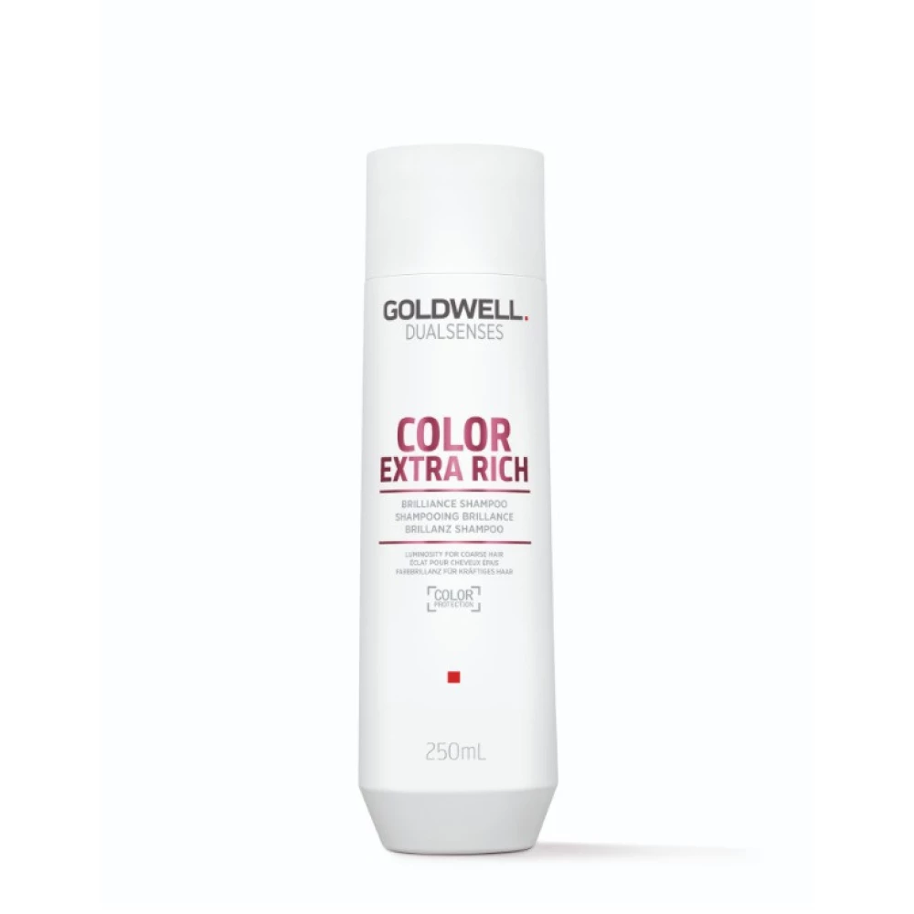Шампунь для сохранения цвета толстых и пористых волос Goldwell DSN Color Extra Rich, 250 мл (4044897029887)