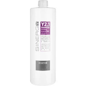 Изображение товара -  Шампунь для разглаживания непослушных волос Sinergy Y2.1 Smoothing Shampoo, 1000 мл (8033745721116)