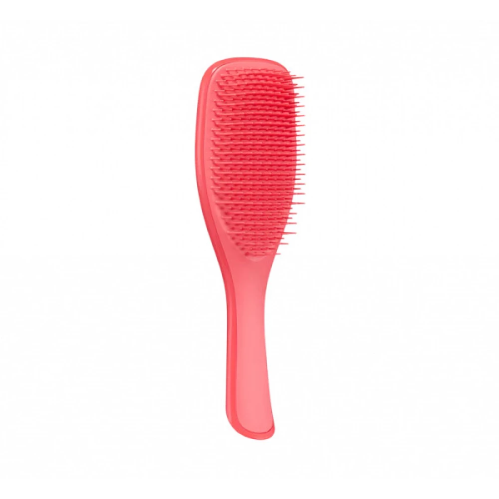 Щетка для волос Tangle Teezer The Wet Detangler Mini Pink Punch , 1 шт (5060926681702)