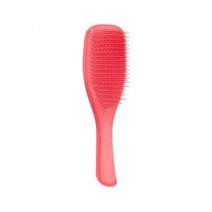 Изображение товара -  Щетка для волос Tangle Teezer The Wet Detangler Pink Punch , 1 шт (5060926681757)