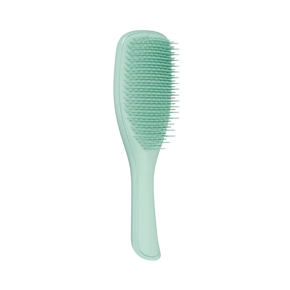 Щетка для волос Tangle Teezer The Wet Detangler Fine & Fragile Marine Teal , 1 шт (5060926682945)